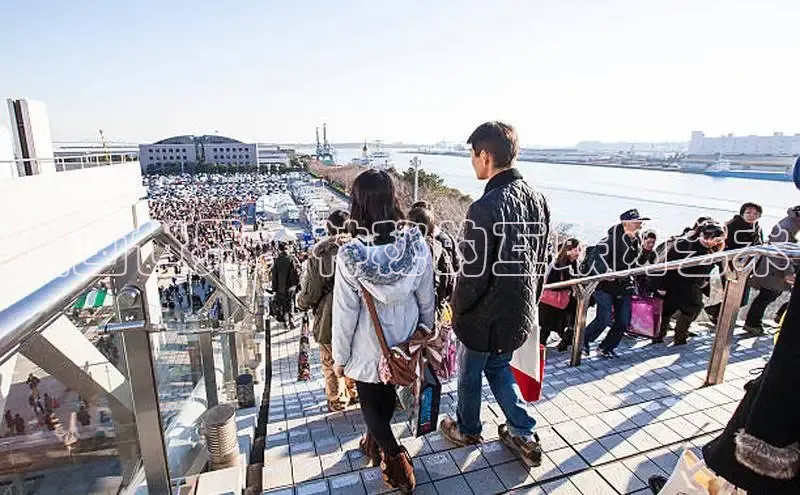 香蕉文化-漫画动漫小说开元,APP